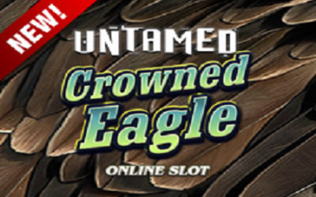 New Crown Eagle Slot Released at Bingo Diamond