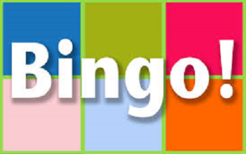 Top Online Bingo Networks