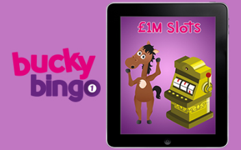 Bucky Bingo's £1M Slots Are Back!