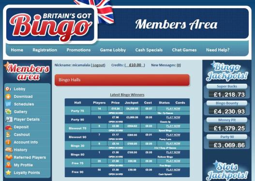 Britains Got Bingo