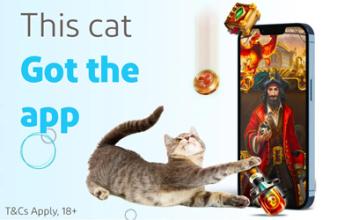 It’s All App’ening With The New Kitty Bingo Mobile App